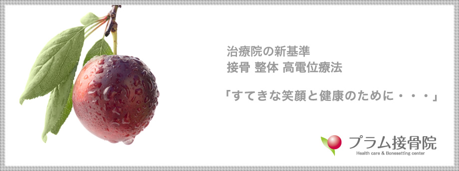 治療院の新基準 接骨 整体 高電位療法 「すてきな笑顔と健康のために・・・」