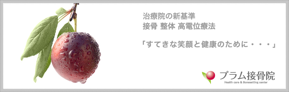 治療院の新基準 接骨 整体 高電位療法 「すてきな笑顔と健康のために・・・」