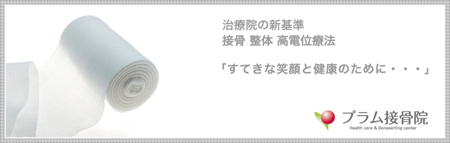 治療院の新基準 接骨 整体 高電位療法 「すてきな笑顔と健康のために・・・」